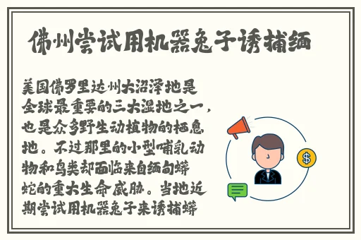 大团圆6血缘关系
