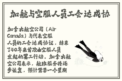 锵锵锵锵锵免费完整观看动漫